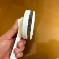 برس موی گربه|لوازم جانبی حیوانات|قزوین, |دیوار