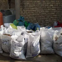 کود گوسفندی اعلا تمیز شده|خدمات باغبانی و درختکاری|اصفهان, کلمه خوران|دیوار