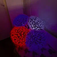 بوکت پروانه|گل مصنوعی|ارومیه, |دیوار