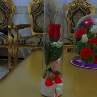 باکس گل هدیه یا خاستگاری|گل مصنوعی|رباطکریم, شترخوار|دیوار