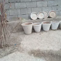 گلدان سایز بزرگ