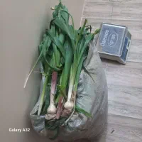 پر موسیر تازه
