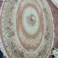 تعدادی فرش|فرش|بندرعباس, |دیوار