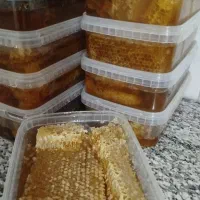 فروش عسل طبیعی