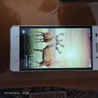 گوشی موبایل هاوی