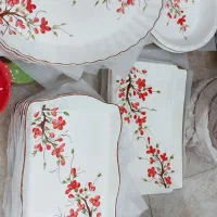 ظروف آشپزخانه اقساطی ماهی20تومن