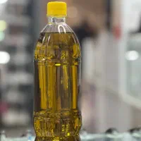 روغن زیتون محلی تازه  اصل رودبار تضمینی