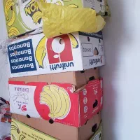 کارتن اسباب کشی