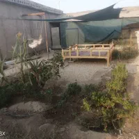 باغچه با شرایط|فروش زمین و ملک کلنگی|کاشان, آیت الله سعیدی|دیوار