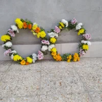 حلقه گردنی مناسب حجاج|گل و گیاه طبیعی|اهواز, اهواز|دیوار