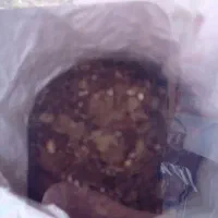 کود مرغ