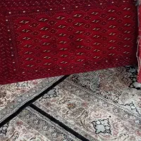 پشتی