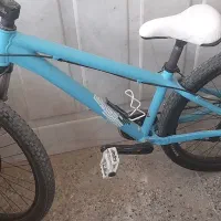 دوچرخه حرفه ایی