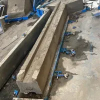 کارگر ساده و اتباع