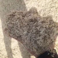 تفاله چغندر|عمده‌فروشی|میاندوآب, |دیوار