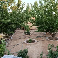 فروش باغ شهری خالد آباد فاتحی f14|فروش زمین و ملک کلنگی|شیراز, داریون|دیوار
