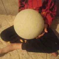 فروش توپ بخاطر شرایط مالی