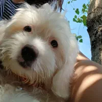 دختر مهربون و دوست داشتنی