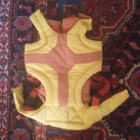 اغوشی نوزاد،کالسکه