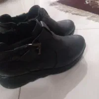 کفش و کتونی