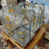 قفس|لوازم جانبی حیوانات|شیراز, رکنآباد|دیوار