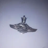 پلاک‌ نقره|جواهرات|تهران, مینابی|دیوار