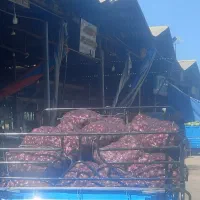 اتاق دسفول سالم|قطعات یدکی و لوازم جانبی|بروجرد, |دیوار