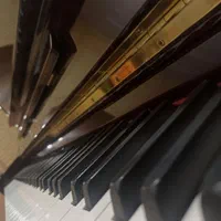 آموزش پیانو و سلفژ (خصوصی)|خدمات آموزشی|شیراز, بریجستون|دیوار