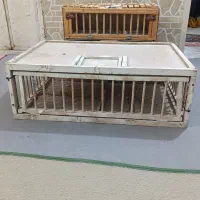 قفس راهکش کبوتر|لوازم جانبی حیوانات|خورموج, |دیوار