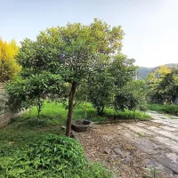 300-متر-زمین-قابل-ساخت-با-سند-تک-برگ-ششدانگ