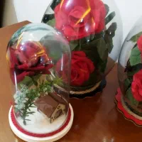 تونگگلمصنوعی|گل مصنوعی|قدس, شهرقدس|دیوار