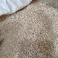 برنجامساله فجر|خوردنی و آشامیدنی|مزرعه کتول, |دیوار