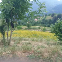 فروش زمین ییلاقی