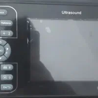 سونوگرافی دامپزشکی