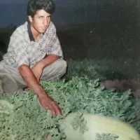 اجاره زمین کشاورزی/25 هکتار/چاه برقی/شهرستان سرخس|اجارهٔ دفتر صنعتی، کشاورزی، تجاری|مشهد, فرودگاه|دیوار