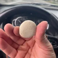 سنگ قیمتی سنگ مریخی|کلکسیون اشیاء عتیقه|تالش, طولارود|دیوار