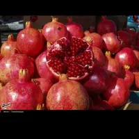 اجاره محصول باغ انار شما ب قیمت روز و چیدمان انار|خدمات باغبانی و درختکاری|شهرضا, |دیوار