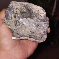 فسیل .همراه با کوارتز هر دو طرف گوش ماهی|کلکسیون اشیاء عتیقه|تهران, جوادیه تهرانپارس|دیوار