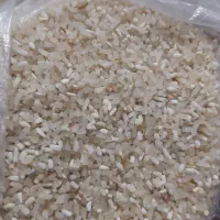 نرمه برنج فجر