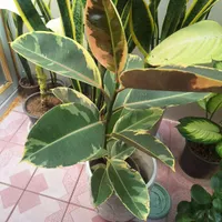 گل وگیاه مصنوعی