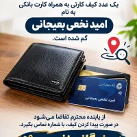 مدارک گمشده بنام امید نخعی