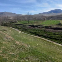 نگهبان و باغبان