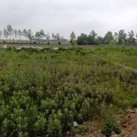 200-متر-زمین-پیرکلاچای-دوم-کلانتری-15-رشت