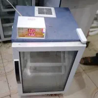 فاخته اسکندری وهدایت و..