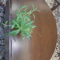 میز ناهار خوری چوبی