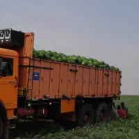 اتاق عقب فله بار کش سالم ۷۰ درصد|قطعات یدکی و لوازم جانبی|گوآور, |دیوار