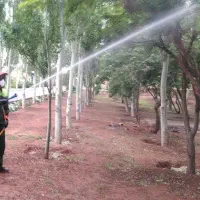 سم پاشی و علف تراشی