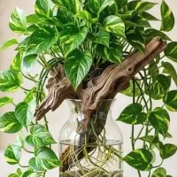 یکنفرخانوم جهت پرستاری دونوجوان پوشکی مشکل ذهنی