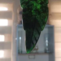 سنگ یشم اصل و کهنه