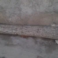 خرید چوب|خدمات باغبانی و درختکاری|کوزران, |دیوار